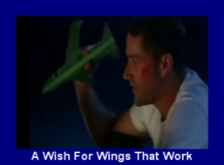 A Wish for Wings that Work
